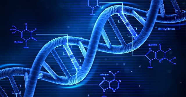 Предложен способ хранения данных в течение миллионов лет на ДНК