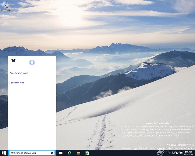 Windows 10 build 9901